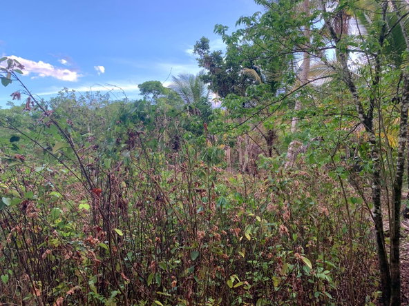 Thirteenth image of Lethe/copse in Montego Bay, St. James, Jamaica - property is For Sale