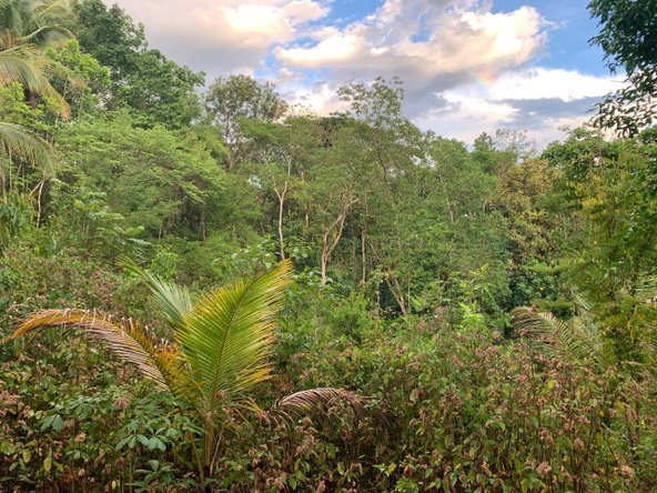 Fourteenth image of Lethe/copse in Montego Bay, St. James, Jamaica - property is For Sale