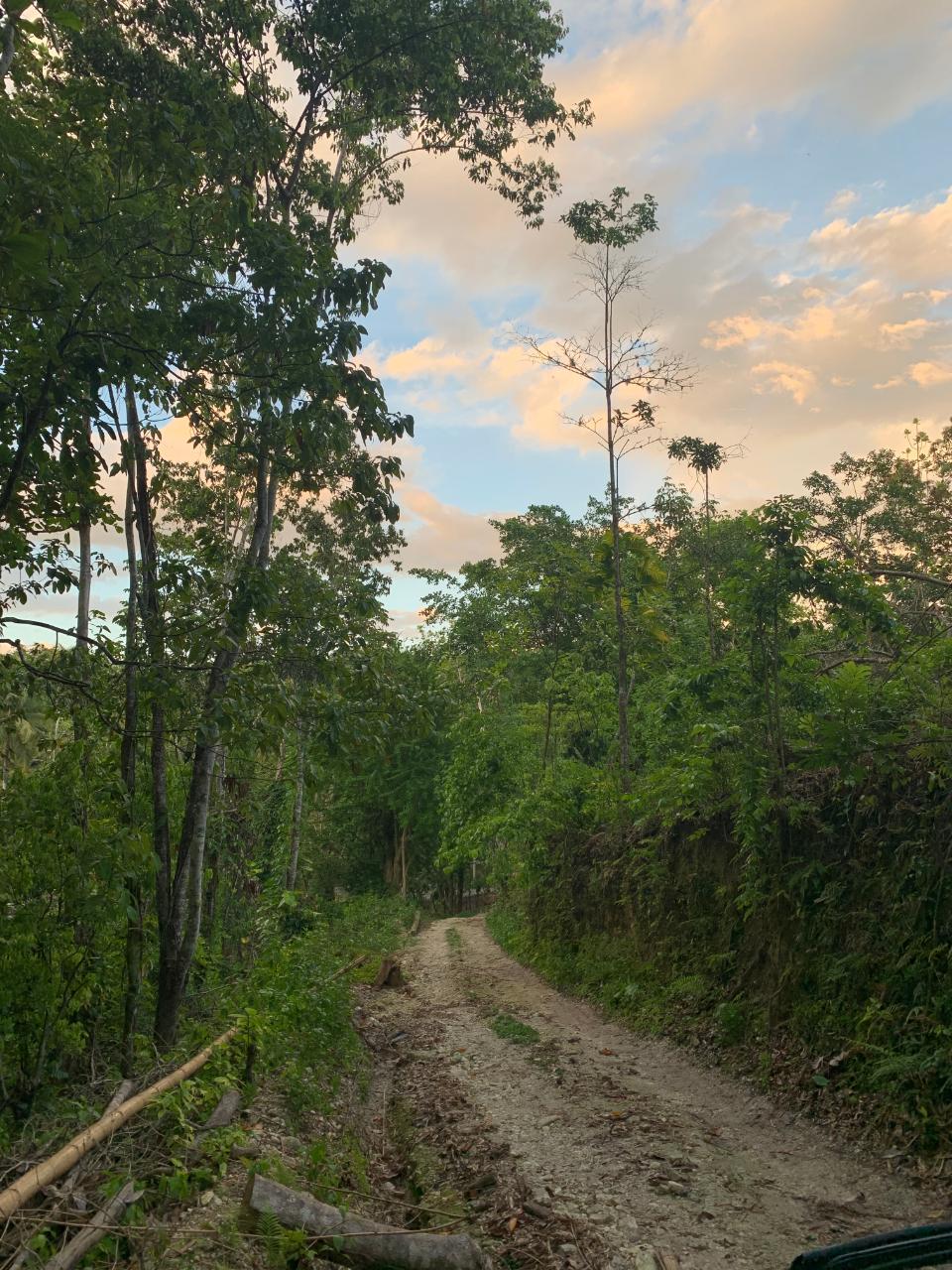 Sixteenth image of Lethe/copse in Montego Bay, St. James, Jamaica - property is For Sale