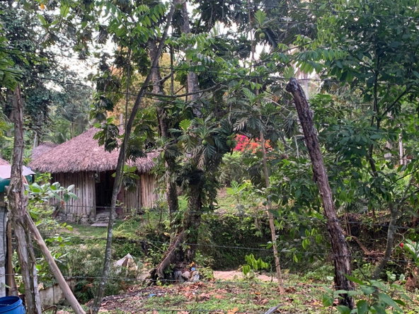 Seventeenth image of Lethe/copse in Montego Bay, St. James, Jamaica - property is For Sale