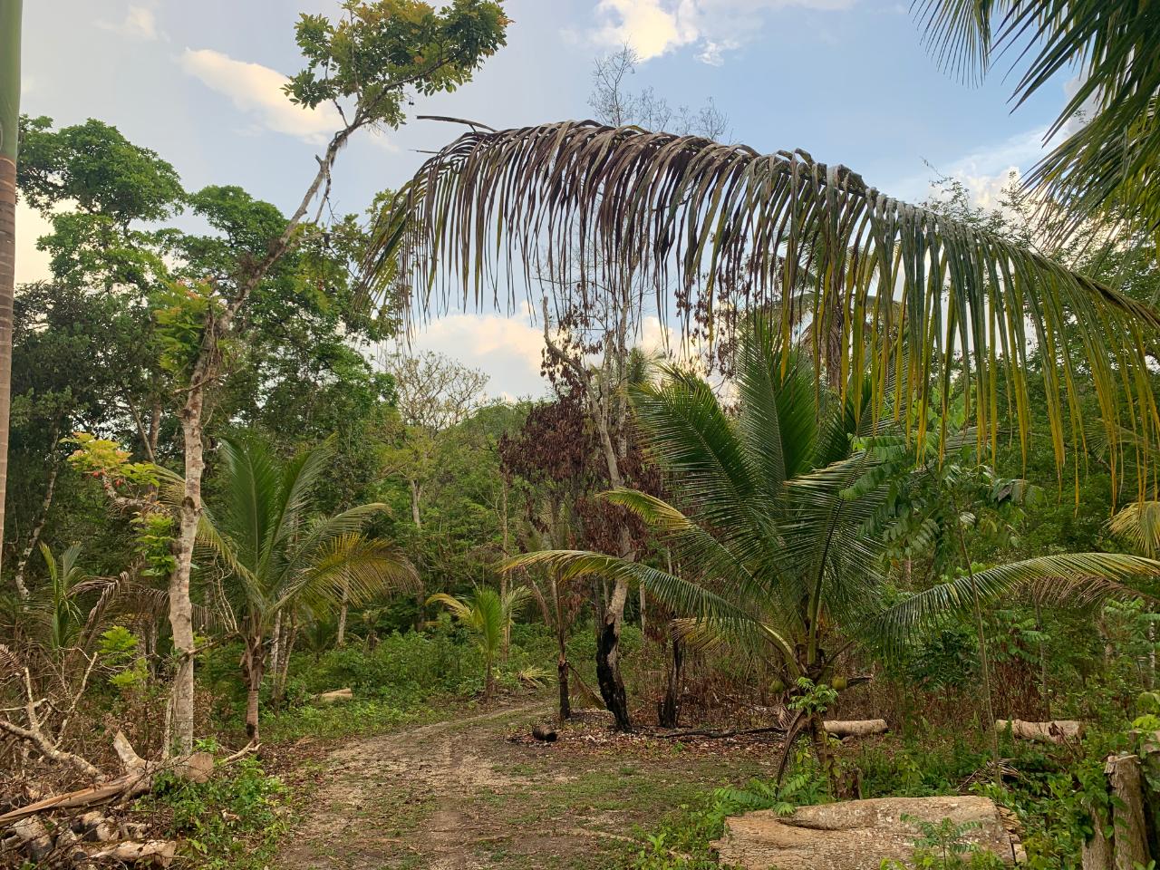 Ninth image of Lethe/copse in Montego Bay, St. James, Jamaica - property is For Sale