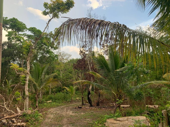 Ninth image of Lethe/copse in Montego Bay, St. James, Jamaica - property is For Sale