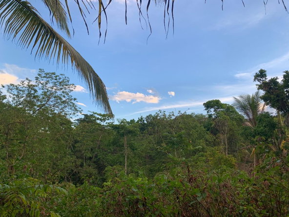Tenth image of Lethe/copse in Montego Bay, St. James, Jamaica - property is For Sale