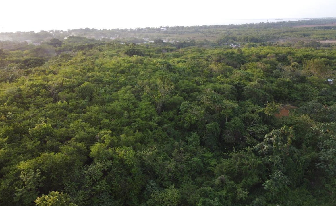 Twenty-Seventh image of 35 Negril Estate in Negril, Westmoreland, Jamaica - property is For Sale