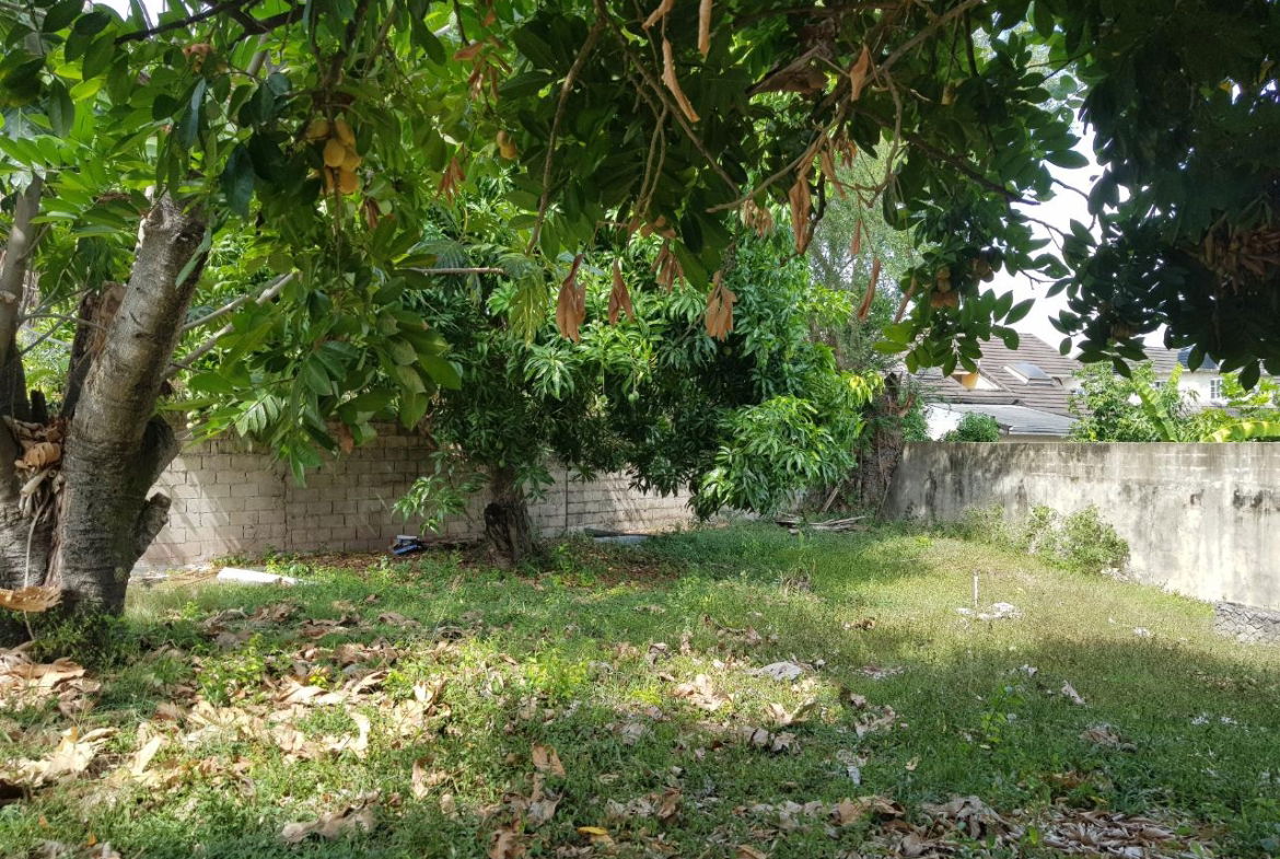 Twenty-Third image of 7 Garth Road, Kingston 8 in Cherry Gardens, St. Andrew, Jamaica - property is For Sale