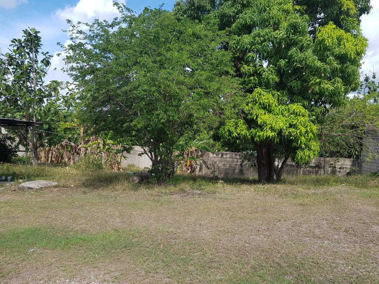 Twenty-Fourth image of 7 Garth Road, Kingston 8 in Cherry Gardens, St. Andrew, Jamaica - property is For Sale