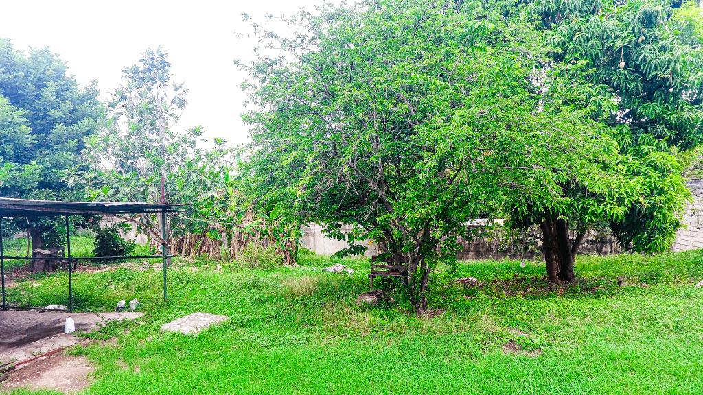 Twenty-Fifth image of 7 Garth Road, Kingston 8 in Cherry Gardens, St. Andrew, Jamaica - property is For Sale