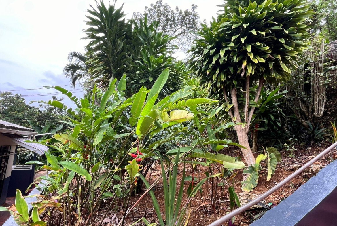 Fourteenth image of Caledonia rd in Mandeville, Manchester, Jamaica - property is For Sale