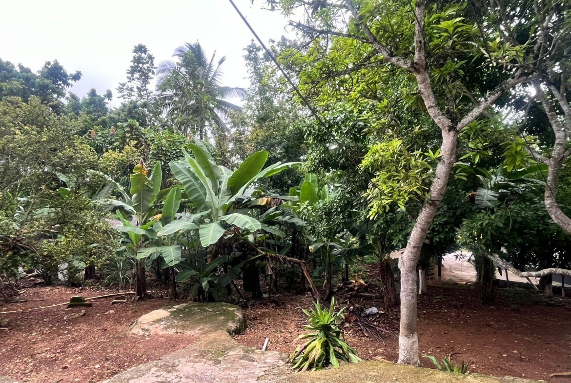 Sixth image of Caledonia rd in Mandeville, Manchester, Jamaica - property is For Sale