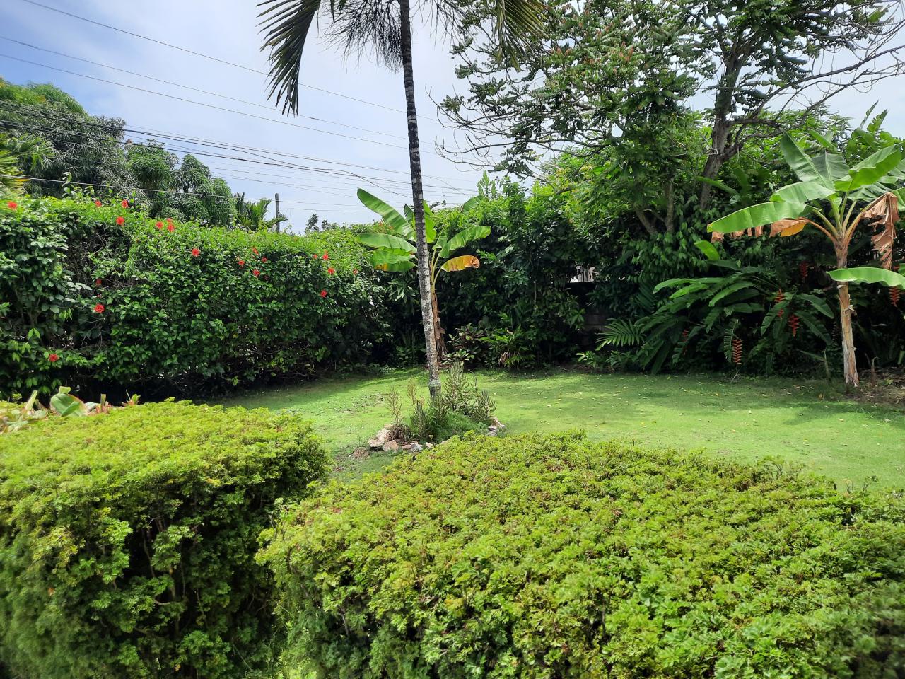 Investment-Opportunity-Resort-ApartmentVilla-in-Rio-Nuevo-Jamaica Eleventh image of Rio Nuevo Circle in Tower Isle, St. Mary, Jamaica - property is For Sale