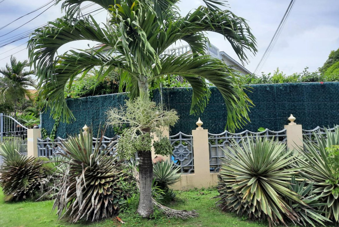 Tenth image of Rio Nuevo Circle in Tower Isle, St. Mary, Jamaica - property is For Sale