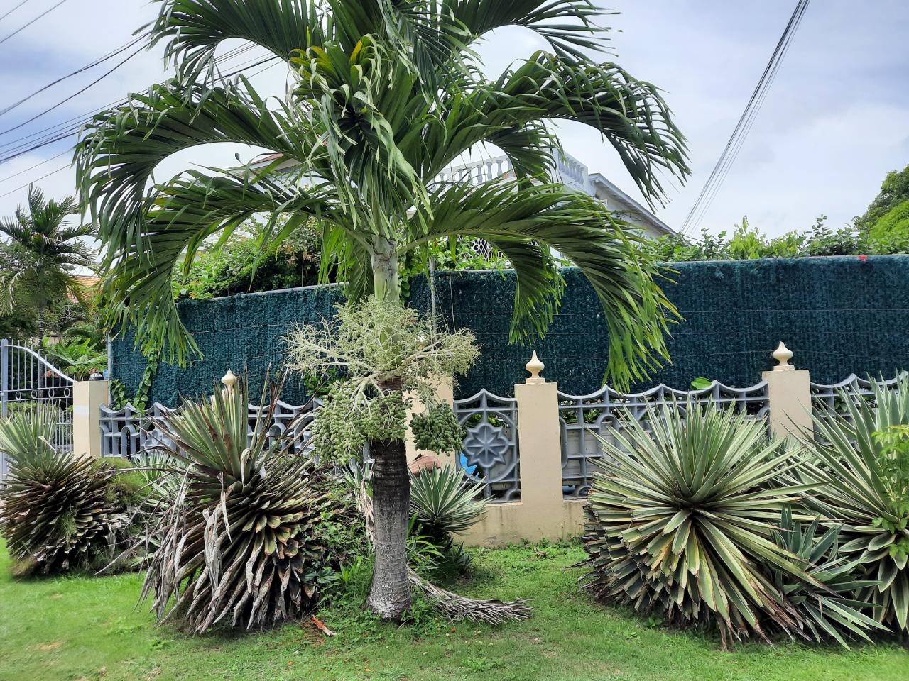 Investment-Opportunity-Resort-ApartmentVilla-in-Rio-Nuevo-Jamaica Tenth image of Rio Nuevo Circle in Tower Isle, St. Mary, Jamaica - property is For Sale