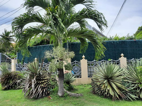 Tenth image of Rio Nuevo Circle in Tower Isle, St. Mary, Jamaica - property is For Sale