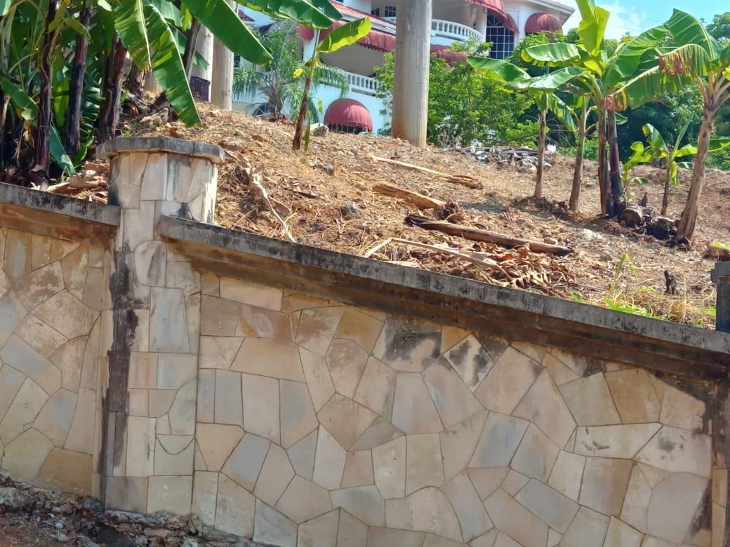 Twenty-Ninth image of 278 Tripoli Estate in Tripoli, St. Ann, Jamaica - property is For Sale
