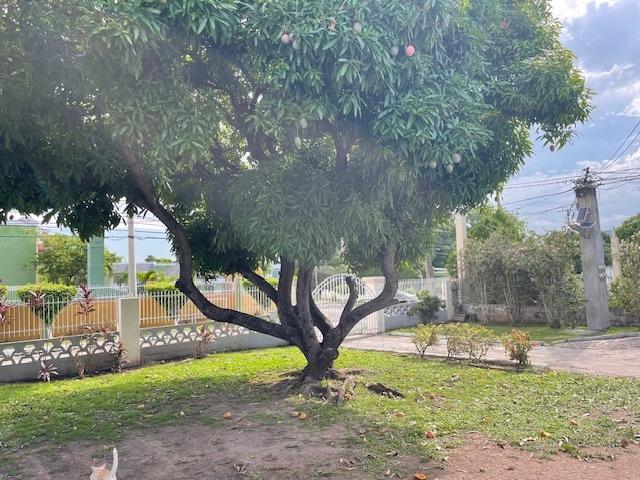 Third image of Lot 1 & 2-14 Darlington Avenue in Kingston 8, St. Andrew, Jamaica - property is For Sale