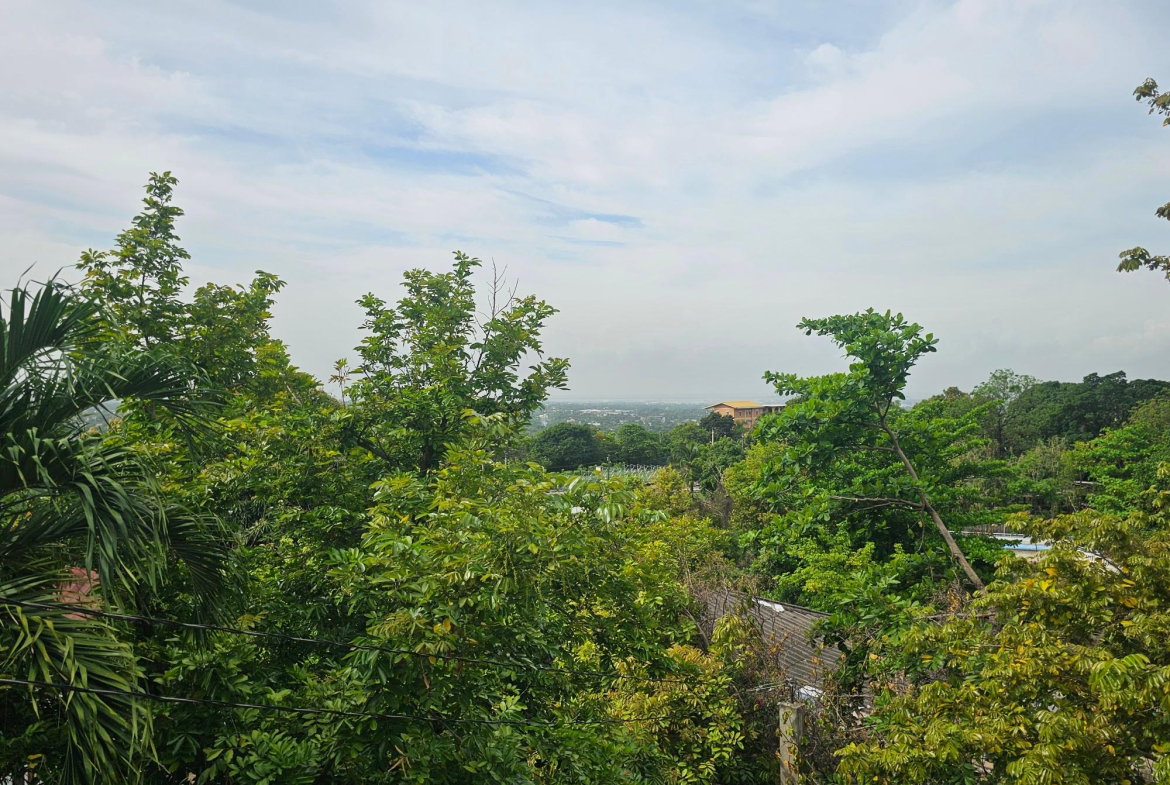 Twenty-Eighth image of Lot 1b - 3 Mayfair in Forest Hills, St. Andrew, Jamaica - property is For Sale