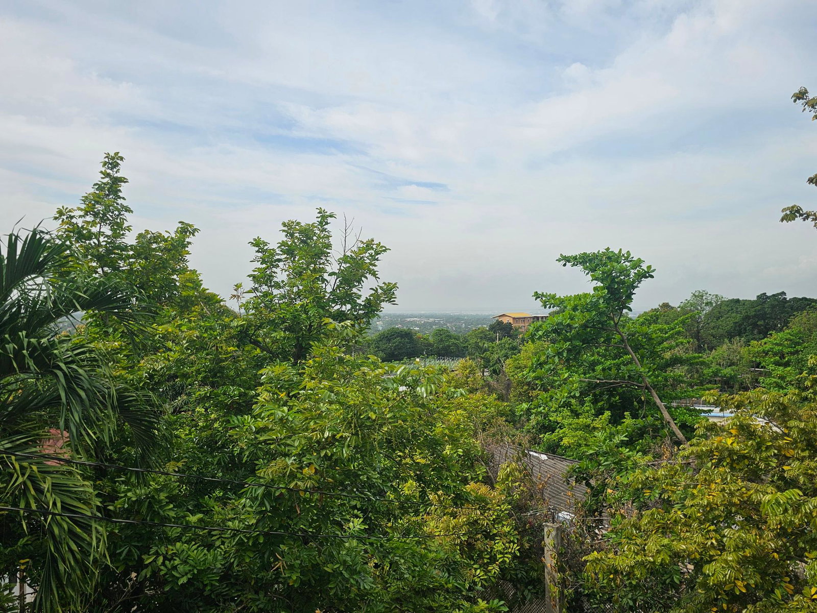 Twenty-Eighth image of Lot 1b - 3 Mayfair in Forest Hills, St. Andrew, Jamaica - property is For Sale