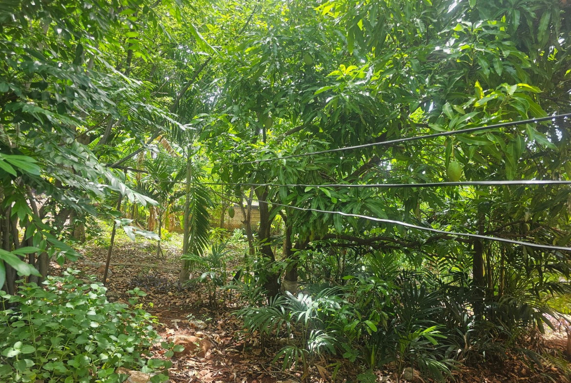 Twenty-Ninth image of Lot 1b - 3 Mayfair in Forest Hills, St. Andrew, Jamaica - property is For Sale