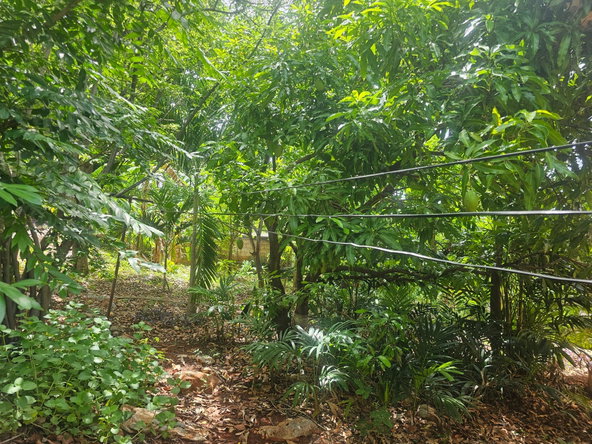 Twenty-Ninth image of Lot 1b - 3 Mayfair in Forest Hills, St. Andrew, Jamaica - property is For Sale