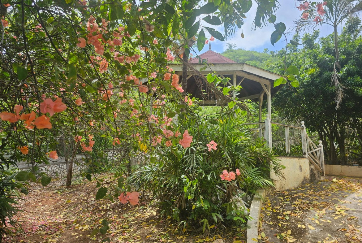 Thirtieth image of Lot 1b - 3 Mayfair in Forest Hills, St. Andrew, Jamaica - property is For Sale