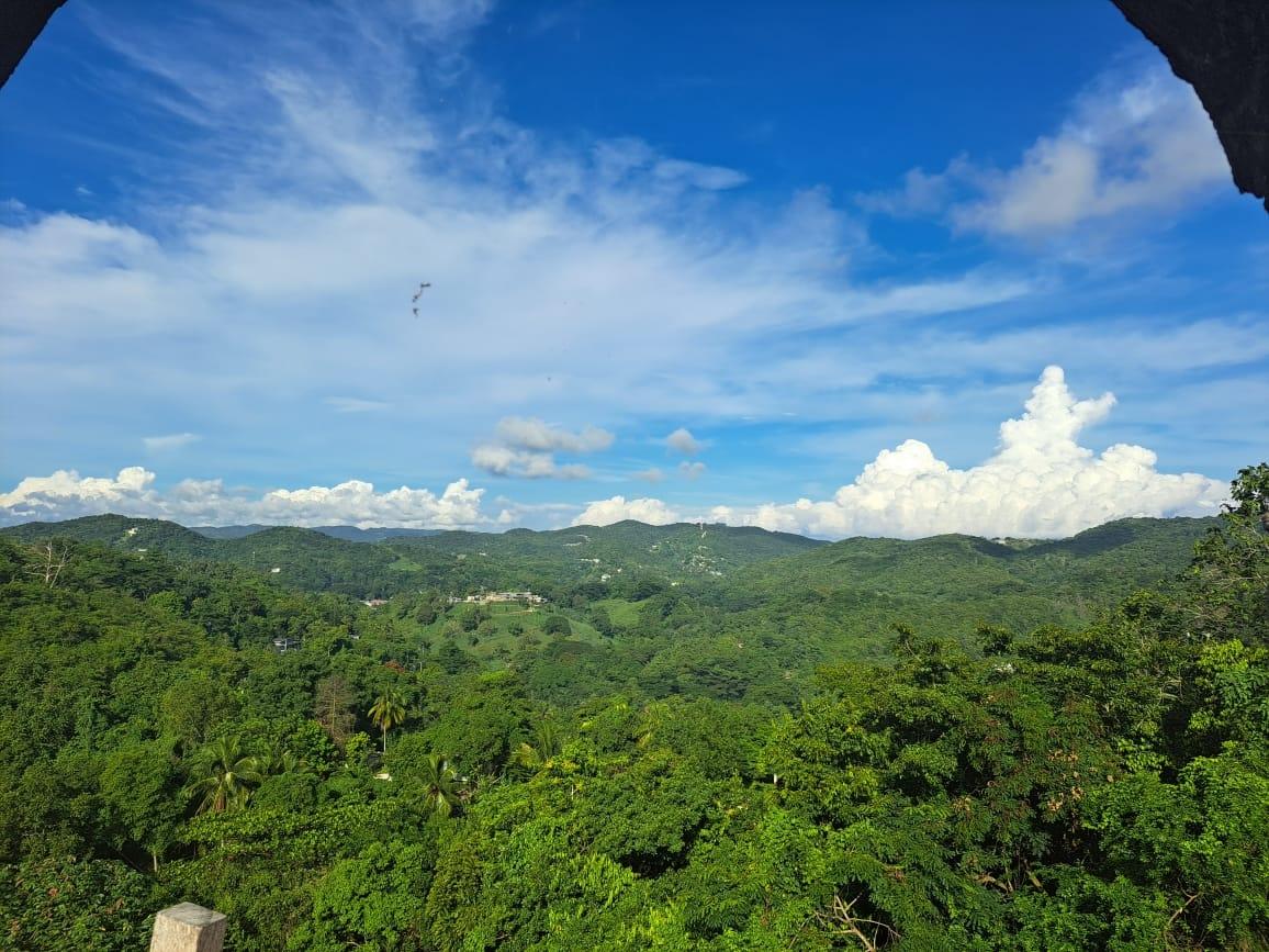 Eighth image of 1-lot 1 Buena Vista, Anchovy Esta in Anchovy, St. James, Jamaica - property is For Sale
