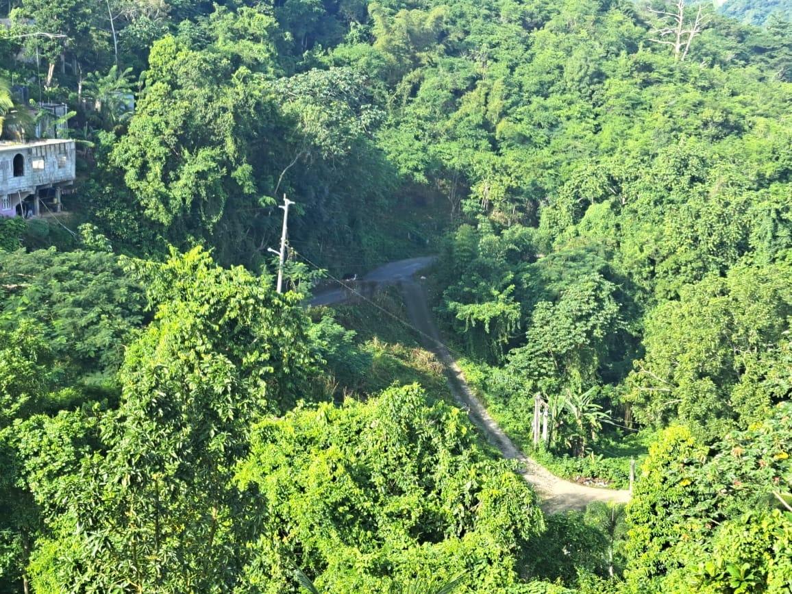 Ninth image of 1-lot 1 Buena Vista, Anchovy Esta in Anchovy, St. James, Jamaica - property is For Sale