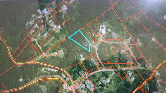 First image of 1-lot 1 Buena Vista, Anchovy Esta in Anchovy, St. James, Jamaica - property is For Sale