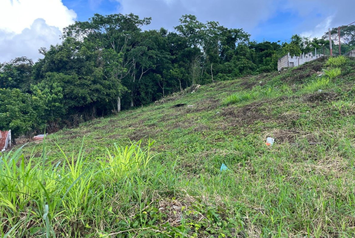 Thirteenth image of Knowles Road in Mandeville, Manchester, Jamaica - property is For Sale