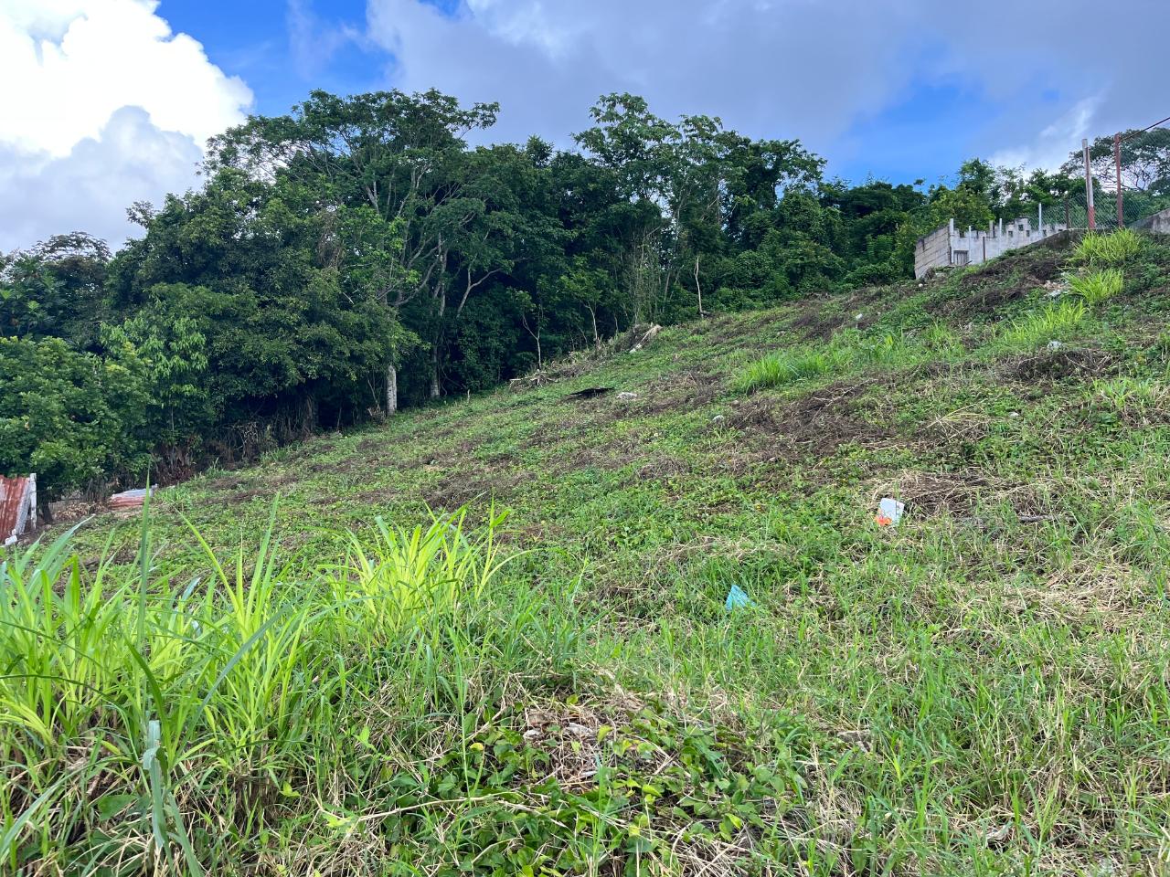 Thirteenth image of Knowles Road in Mandeville, Manchester, Jamaica - property is For Sale