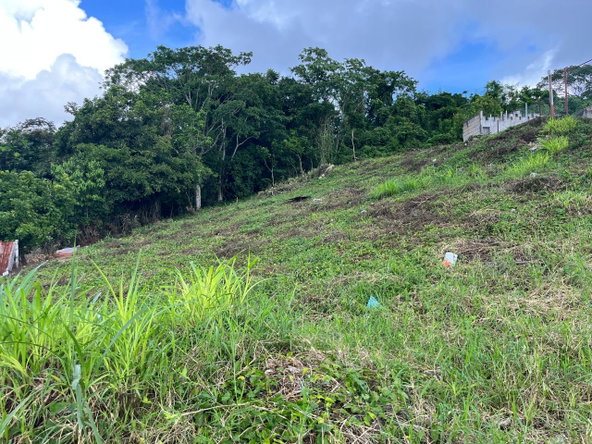 Thirteenth image of Knowles Road in Mandeville, Manchester, Jamaica - property is For Sale
