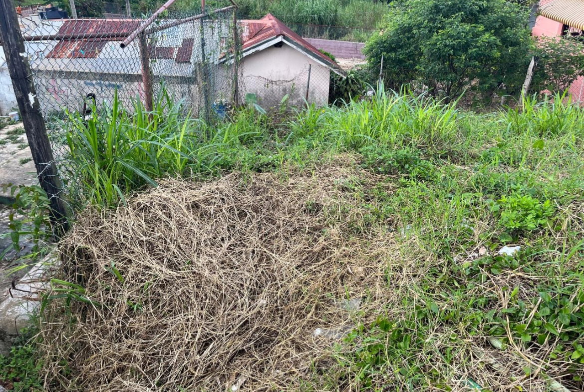 Fourteenth image of Knowles Road in Mandeville, Manchester, Jamaica - property is For Sale