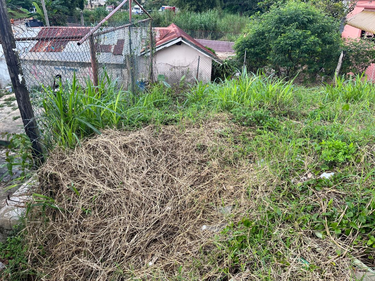 Fourteenth image of Knowles Road in Mandeville, Manchester, Jamaica - property is For Sale