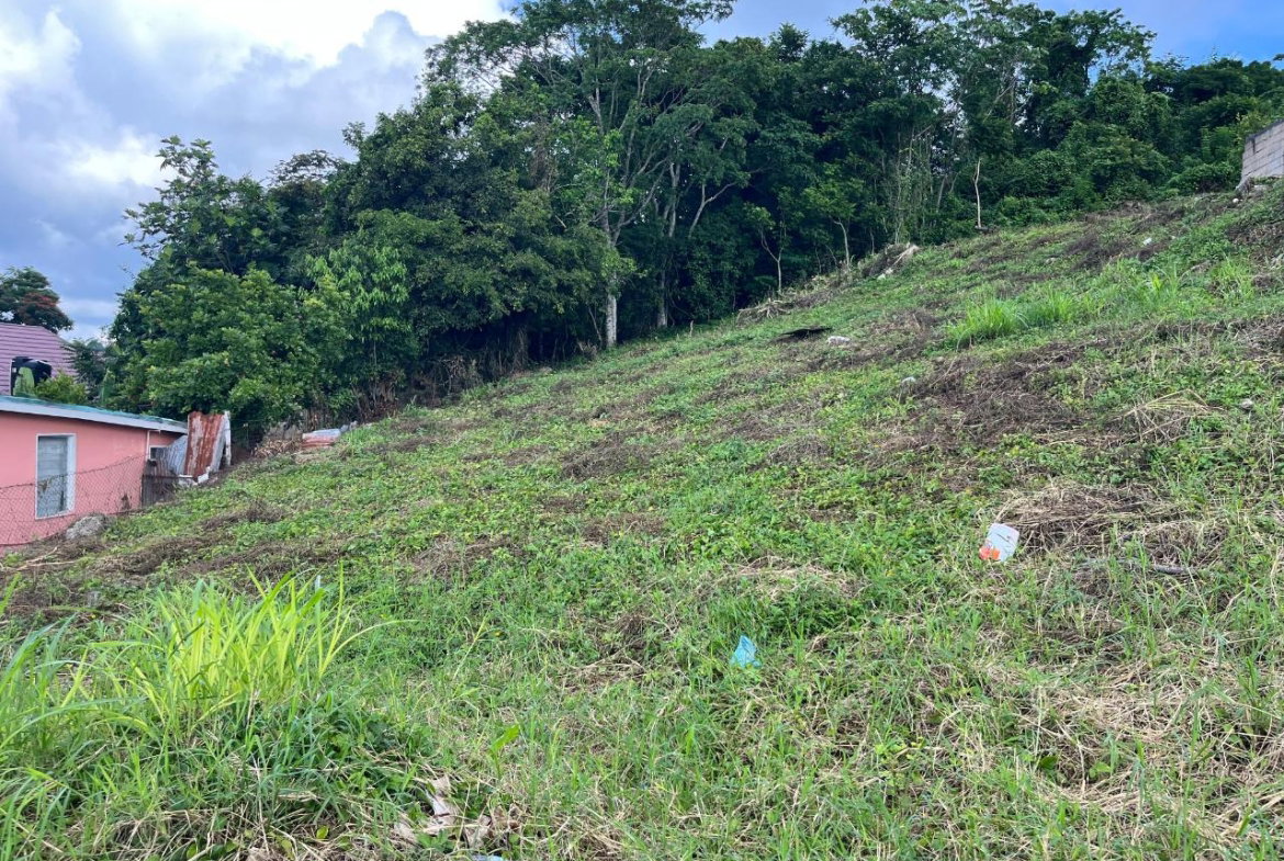 Fifteenth image of Knowles Road in Mandeville, Manchester, Jamaica - property is For Sale