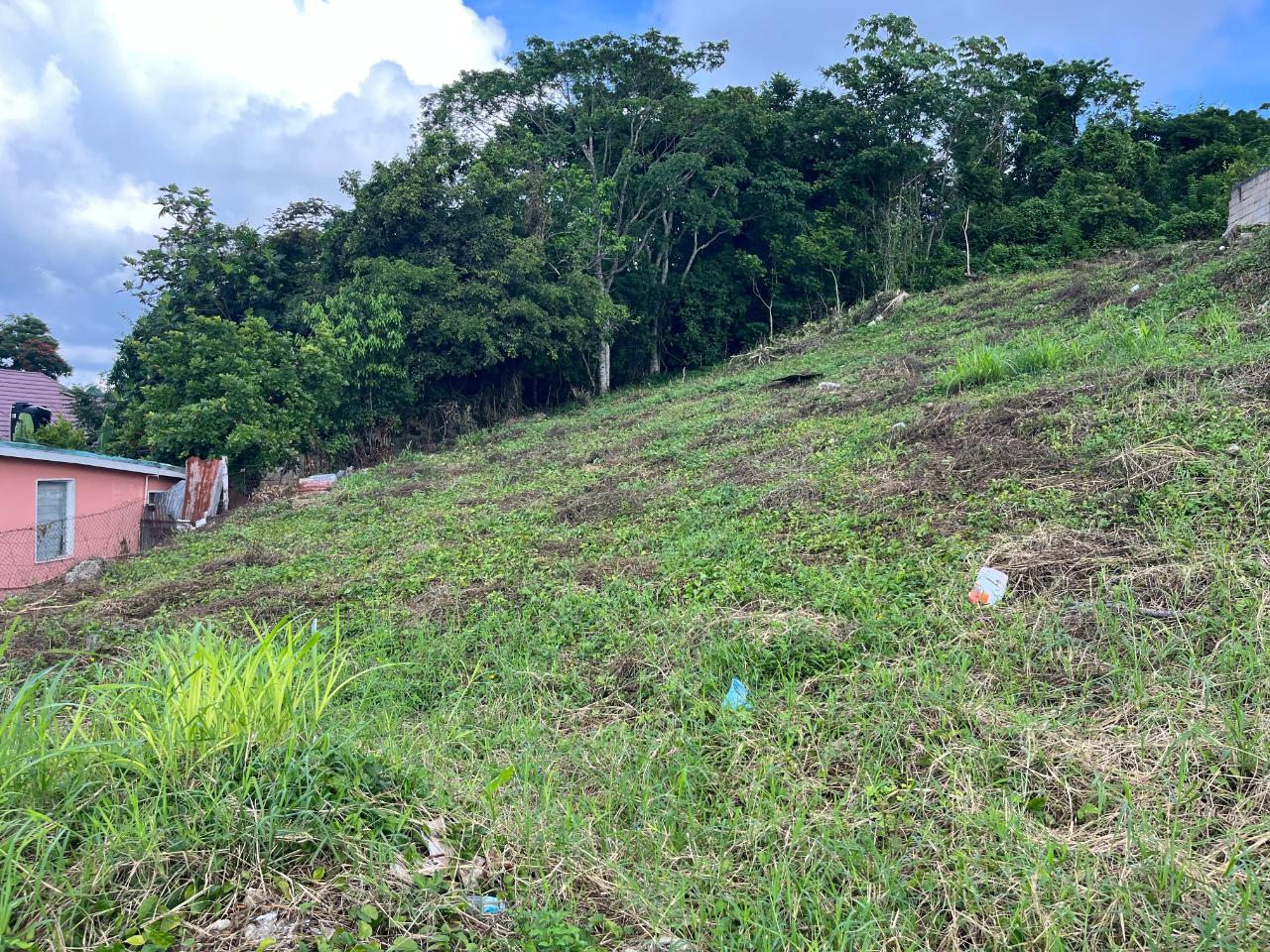 Fifteenth image of Knowles Road in Mandeville, Manchester, Jamaica - property is For Sale