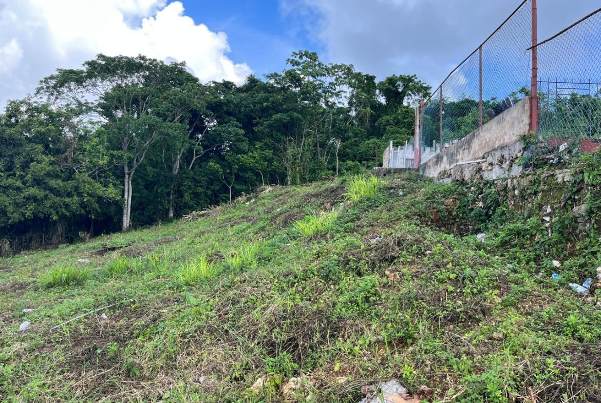 Sixteenth image of Knowles Road in Mandeville, Manchester, Jamaica - property is For Sale