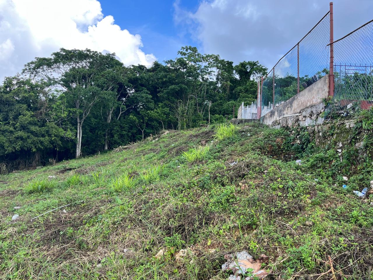 Sixteenth image of Knowles Road in Mandeville, Manchester, Jamaica - property is For Sale