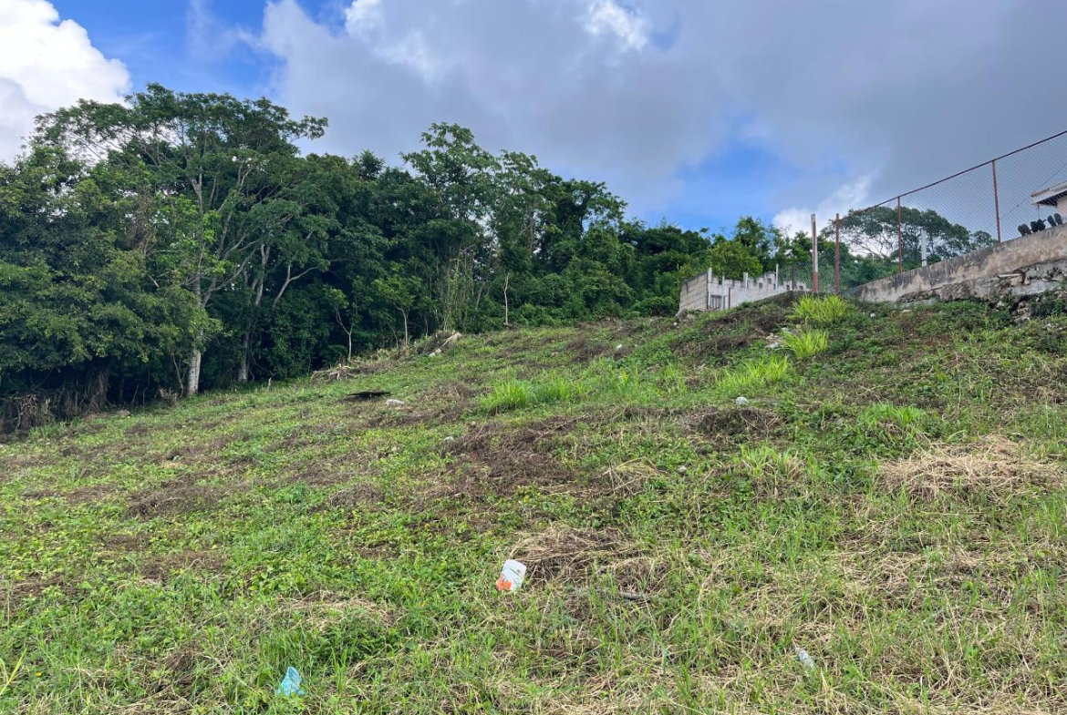 Twenty-Second image of Knowles Road in Mandeville, Manchester, Jamaica - property is For Sale