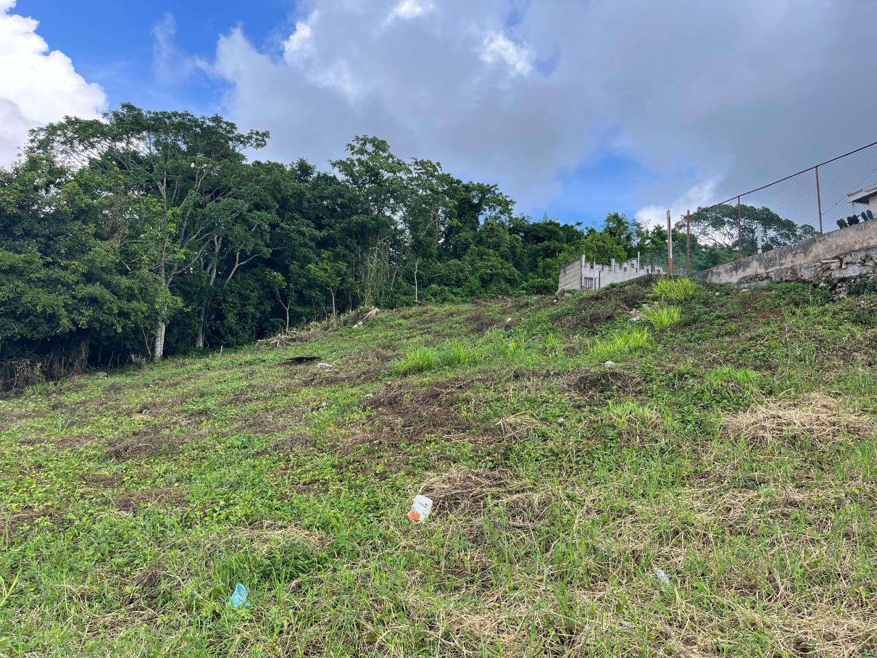 Twenty-Second image of Knowles Road in Mandeville, Manchester, Jamaica - property is For Sale