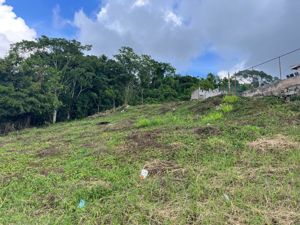 Twenty-Second image of Knowles Road in Mandeville, Manchester, Jamaica - property is For Sale