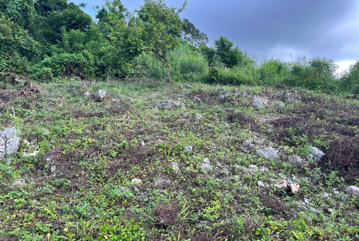 Twenty-Fourth image of Knowles Road in Mandeville, Manchester, Jamaica - property is For Sale