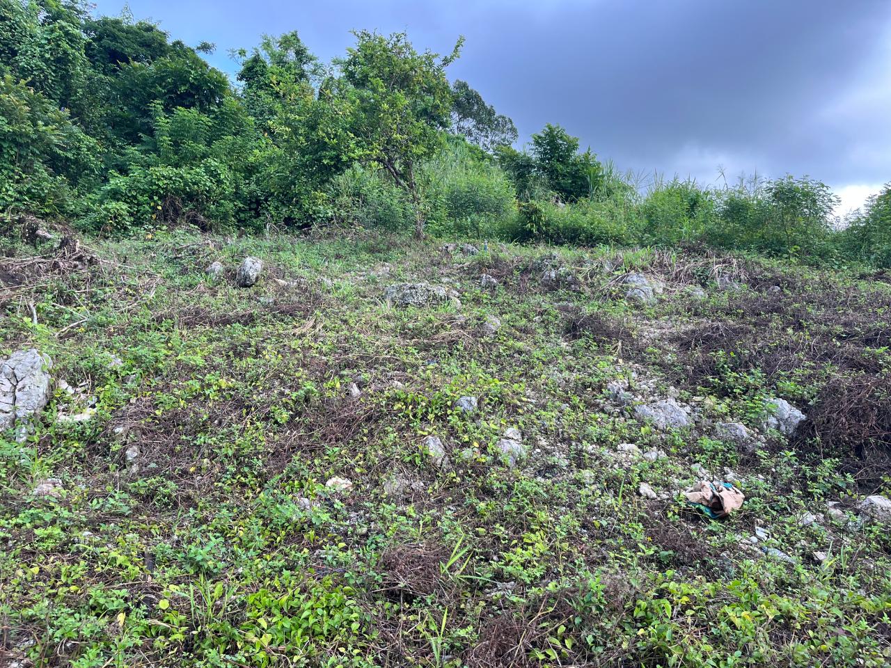 Twenty-Fourth image of Knowles Road in Mandeville, Manchester, Jamaica - property is For Sale