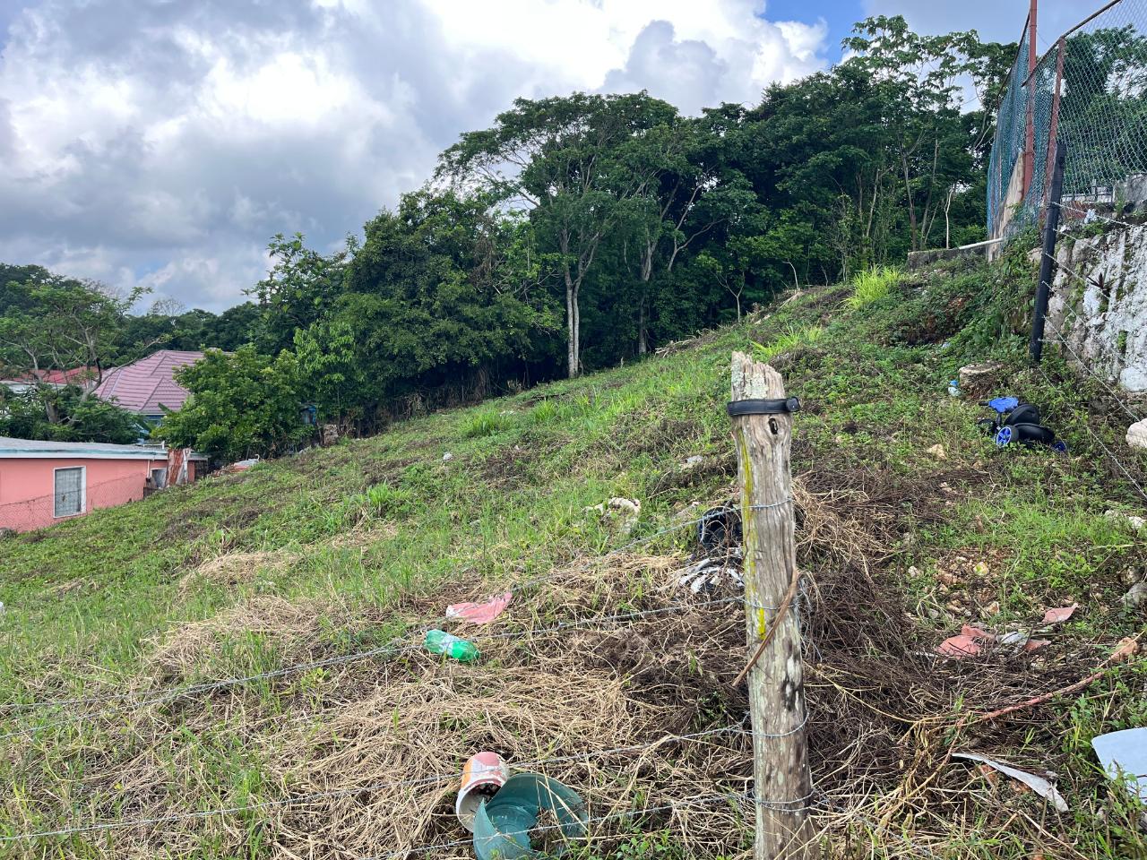 Tenth image of Knowles Road in Mandeville, Manchester, Jamaica - property is For Sale