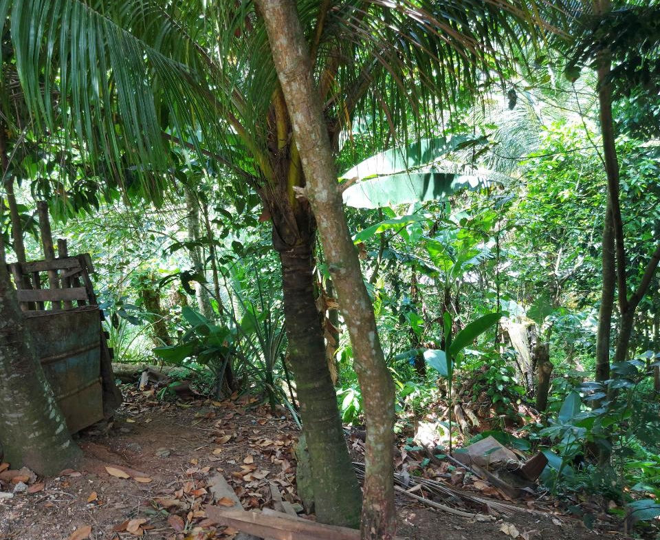 Second image of Lot 5 Golden Spring, Kingston 9 in Kingston 9, St. Andrew, Jamaica - property is For Sale