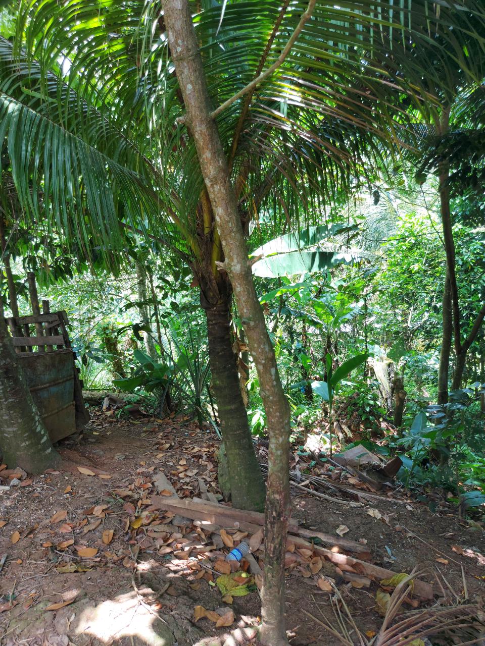 Second image of Lot 5 Golden Spring, Kingston 9 in Kingston 9, St. Andrew, Jamaica - property is For Sale