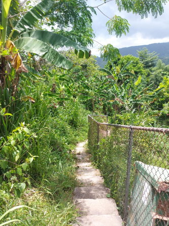Third image of Lot 5 Golden Spring, Kingston 9 in Kingston 9, St. Andrew, Jamaica - property is For Sale