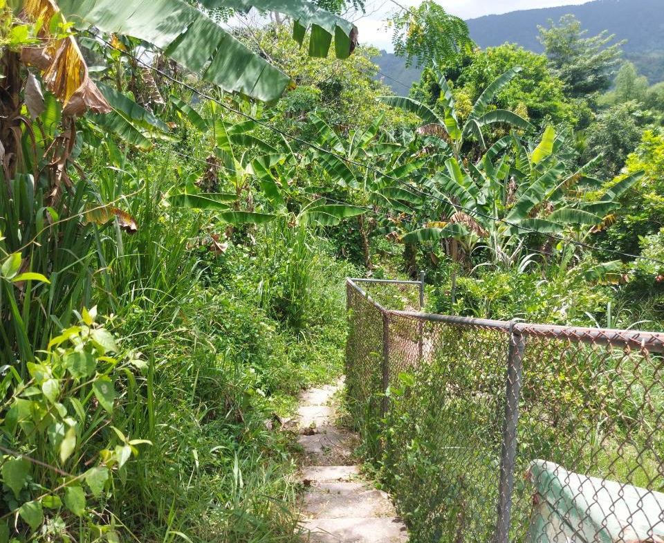 Seventh image of Lot 5 Golden Spring, Kingston 9 in Kingston 9, St. Andrew, Jamaica - property is For Sale