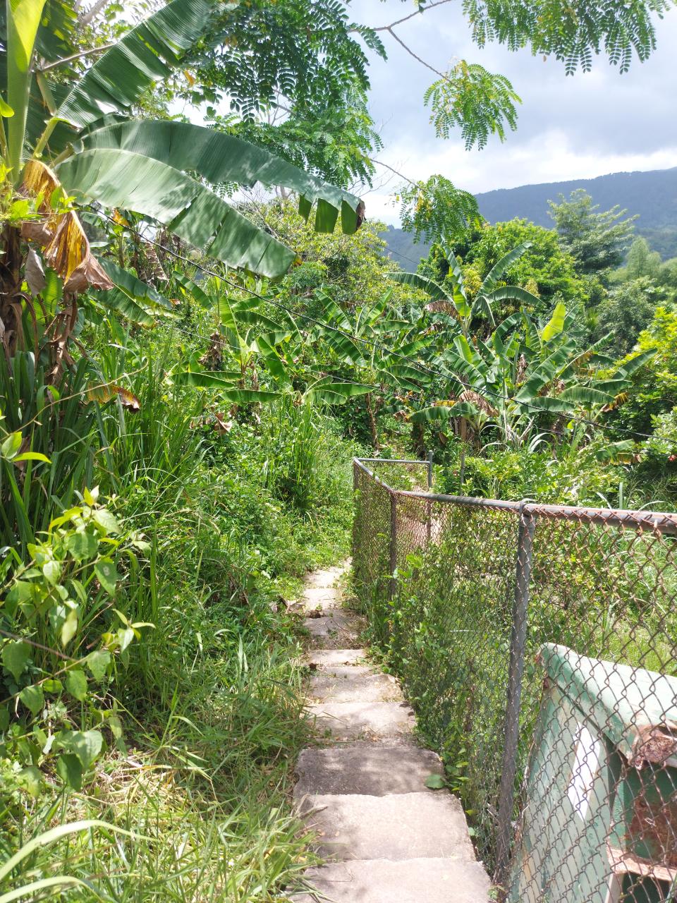 Seventh image of Lot 5 Golden Spring, Kingston 9 in Kingston 9, St. Andrew, Jamaica - property is For Sale