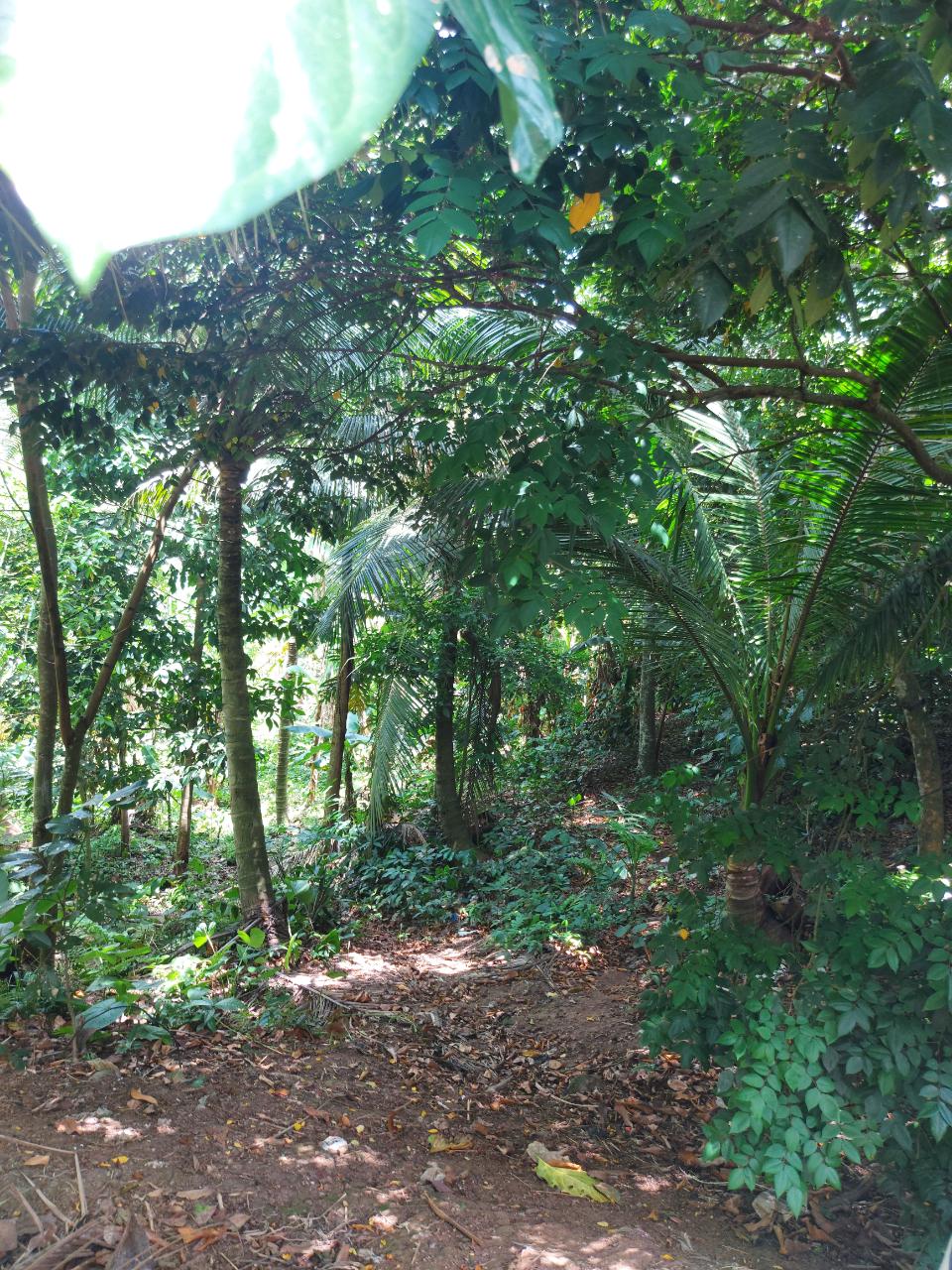 First image of Lot 5 Golden Spring, Kingston 9 in Kingston 9, St. Andrew, Jamaica - property is For Sale