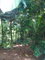 First image of Lot 5 Golden Spring, Kingston 9 in Kingston 9, St. Andrew, Jamaica - property is For Sale