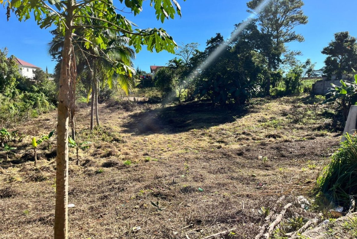 Sixteenth image of 58 Cedar Gardens rd in Mandeville, Manchester, Jamaica - property is For Sale